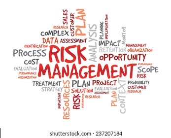 Word cloud of RISK MANAGEMENT related items, vector presentation background