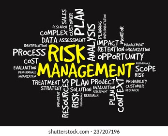 Word cloud of RISK MANAGEMENT related items, vector presentation background