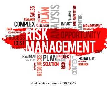 Word cloud of risk management related items, vector business concept