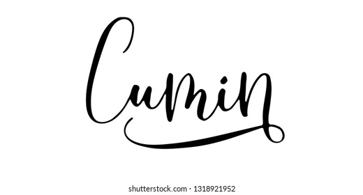 Word 'Cumin' written in modern calligraphy style with flourish. Nice, elegant, isolated trace on white background. Perfect for menu, package, spice boxes, tags, labels.