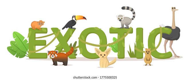 Word EXOTIC with jungle plants and exotic animals. For design poster, banner, flyer, printing. Colorful flat vector illustration, isolated on white background.