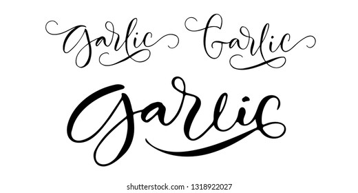 Word 'Garlic' written in different ways of modern calligraphy style with flourishes. Nice, elegant, isolated trace on white background. Perfect for menu, package, spice boxes, tags, labels.
