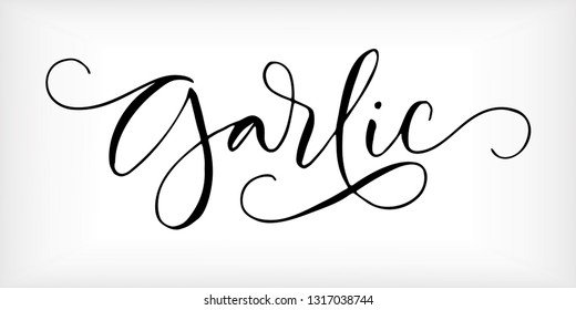 Word 'Garlic' written in modern calligraphy style with flourish. Nice, elegant, isolated trace on white background. Perfect for menu, package, spice boxes, tags, labels.