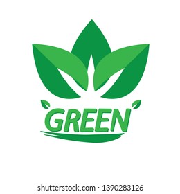 word green and green leafs.vector