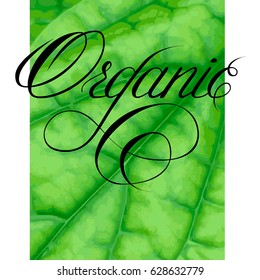 Word love written by hand with a pen. Black word on green background.