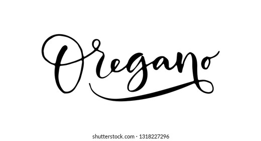 Word 'Oregano' written in modern calligraphy style with flourish. Nice, elegant, isolated trace on white background. Perfect for menu, package, spice boxes, tags, labels.