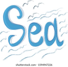 word sea written on a white background. seagulls and waves. for a children's camp, environmental organization. for clean water in the ora and the ocean. tourism, recreation, postcard, vacation.