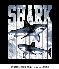 178,716 Shark Images, Stock Photos & Vectors | Shutterstock