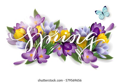 Word spring with flowers crocuses. Spring background concept. Vector template