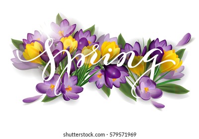Word spring with flowers crocuses. Spring background concept. Vector template