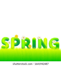 Word Spring made of fur, fluffy flowers daisies, dandelions. Typography, text, texture, green letters, vector, isolated illustration
