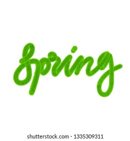 Word Spring made of fur. Lettering, typography, calligraphy. Vector, eps 10.