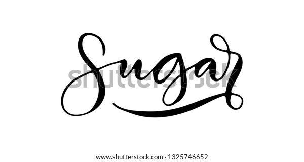 Word Sugar Written Modern Calligraphy Style Stock Vector Royalty Free