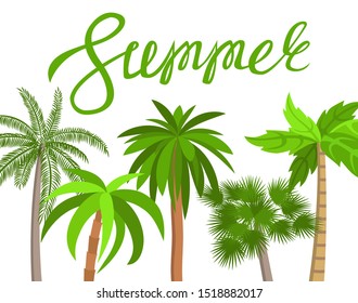 The word summer on a white background. Lettering. Palms. Vector illustration.