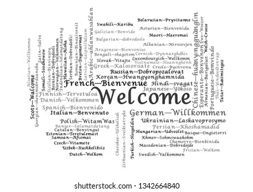 Word Tag Cloud, shows equivalents of 'Welcome', how to say it in many languages. It is version with language name. Vector ESP10