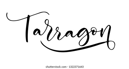 Word 'Tarragon' written in modern calligraphy style with flourish. Nice, elegant, isolated trace on white background. Perfect for menu, package, spice boxes, tags, labels.