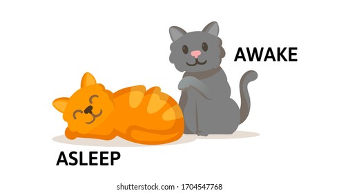 Words asleep and awake textcard with two cartoon cats. Opposite adjectives explanation card. Flat vector illustration, isolated on white background.