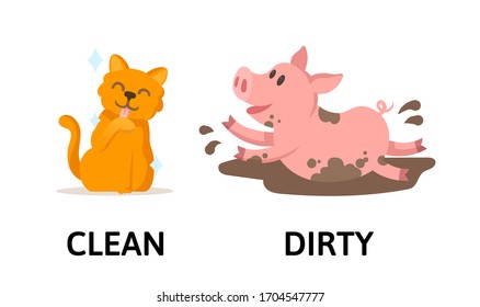 Words clean and dirty textcard with cartoon cat and pig characters. Opposite adjectives explanation card. Flat vector illustration, isolated on white background.