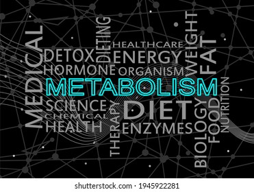 Words cloud of metabolism. Concept of human health