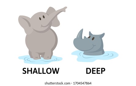 Words deep and shallow textcard with cartoon elephant and rhino characters. Opposite adjectives explanation card. Flat vector illustration, isolated on white background.