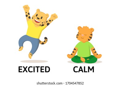 Words excited and calm textcard with cartoon cheetah and tiger characters. Opposite adjectives explanation card. Flat vector illustration, isolated on white background.