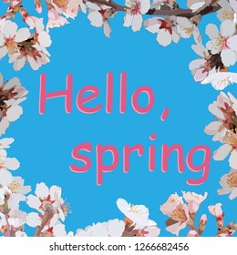 words Hello spring on a blue background in a frame of flowering trees