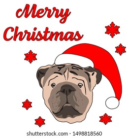 Words Merry Christmas with British Bulldog Vector. Illustration dog. Christmas card concept template. Dog with Santa hat. Doggy greeting card.