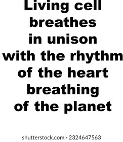 Words quote isolated. Poem, poetry of quatrain lines, vector illustration. Wise author phrase text titles, subtitles entertainment. Screen cinema video projection show, media journalism. 