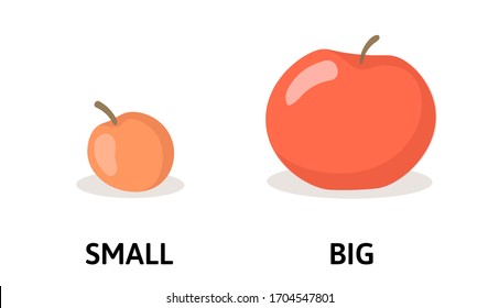 Words small and big opposites flashcard with red apples. Opposite adjectives explanation card. Flat vector illustration, isolated on white background.