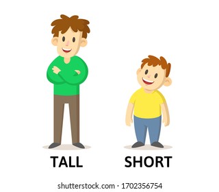 Words tall and short textcard with cartoon characters. Opposite adjectives explanation card. Flat vector illustration, isolated on white background.