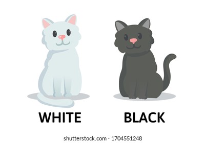 Words white and black textcard with two cartoon cats characters. Opposite adjectives explanation card. Flat vector illustration, isolated on white background.