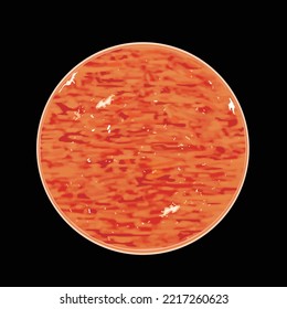 A work depicting the sun, our star, the center of the planetary system