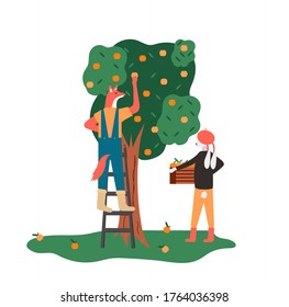 Work in the garden background. Modern illustration slider site page. Web banner take care of your garden. The concept of plucking fruit from trees in the garden. Vector design image.