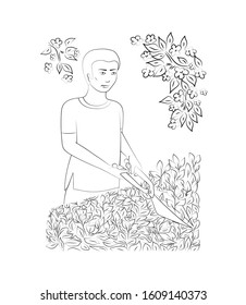 Work in the garden. A man is cutting a hedge with clippers. Design element. Vector illustration.