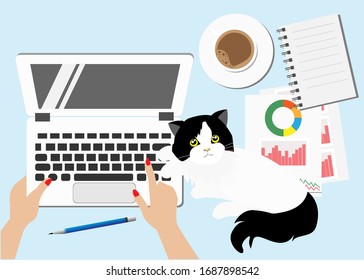 Work from home concept. Woman hand working with laptop computer at home with cat during city lock down to prevent COVID-19 corona virus. Idea for COVID-19 outbreak ,quarantine and social distancing.