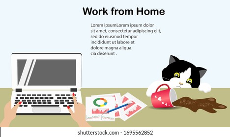 Work at home, stay home on quarantine during COVID-19 spreading. Woman hand working on laptop computer at home,while cat spilled out her coffee during city lock down to prevent COVID-19 corona virus. 