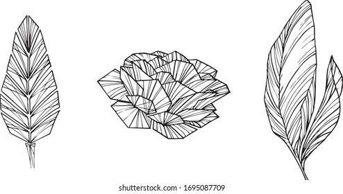 a work that expresses the leaves of nature with a direct pen