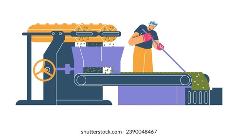 Worker adjusts tea leaves on conveyor belt during the production process. Tea production stage. Flat vector illustration banner.