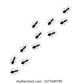 Worker ants marching in a line, black silhouette. Vector illustration