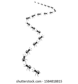 Worker ants marching in a line, Vector icon illustration