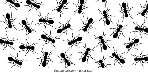 hormigas obreras marchando en busca de letreros de comida. Ratas negras, caminando en grupo. Patrón de insecto vector plano. Gracioso pictograma de silueta. 