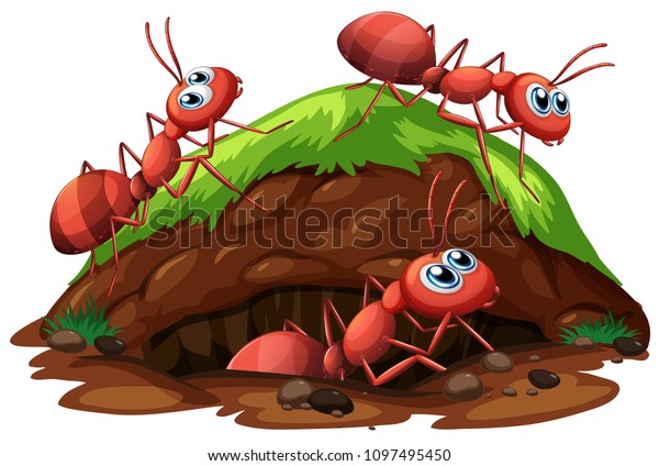 Worker Ants On White Background Illustration Stock Vector (Royalty Free ...