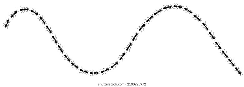 Worker ants trail curve. Ant path isolated in white background. Vector illustration