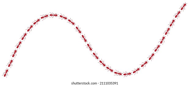 Worker ants trail curve. Red ant path isolated in white background. Vector illustration