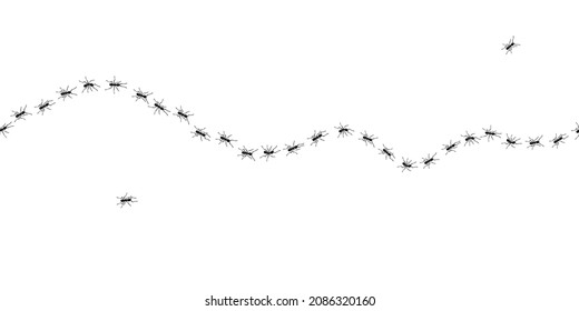 Worker ants trail line flat style design vector illustration isolated on white background. Top view of ants bug road trail marching in the line row. Pest control or insect searching concept.
