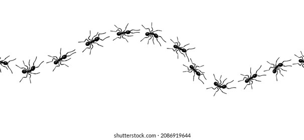 Worker ants trail line flat style design vector illustration isolated on white background. Top view of ants bug road trail marching in the line row. Pest control or insect searching concept.