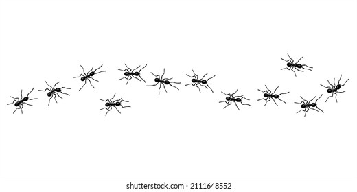 Worker ants trail line flat style design vector illustration isolated on white background. Top view of ants bug road trail marching in the line row. Pest control or insect searching concept.