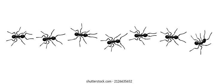 Worker ants trail line flat style design vector illustration isolated on white background. Top view of ants bug road trail marching in the line row. Pest control or insect searching concept.