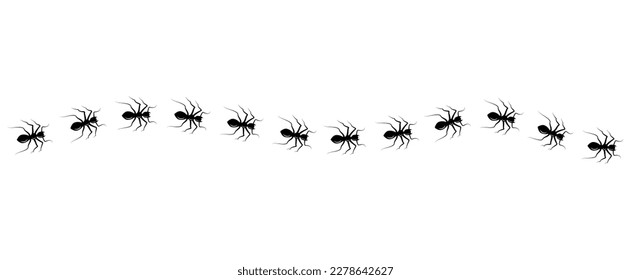 Las hormigas obreras trazan la línea aislada en el fondo blanco. Vista superior del camino de las hormigas marchando. Material vectorial