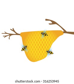 Worker bees on honey cells vector